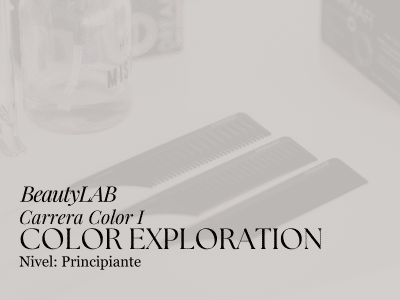COLOR-EXPLORATION-1